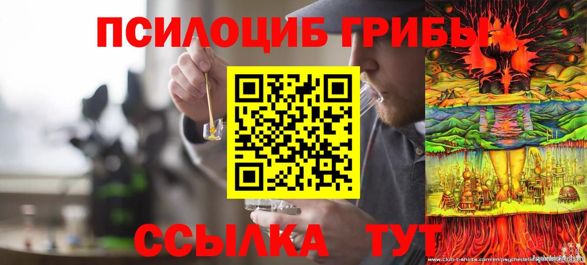 Галлюциногенные грибы GOLDEN TEACHER Ейск